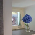 Residenza Motta * لوكارنو