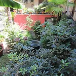 Апартаменты Residenza Motta