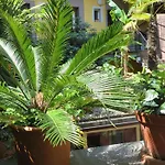 Residenza Motta * Локарно