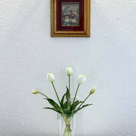 Residenza Motta * Locarno