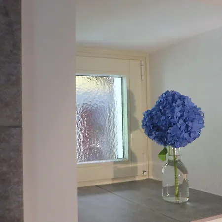 Residenza Motta * Locarno