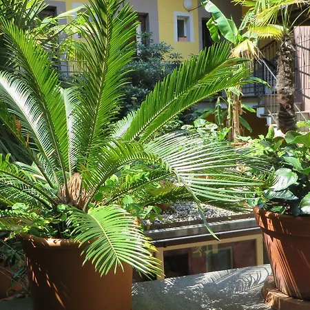 Residenza Motta * Locarno