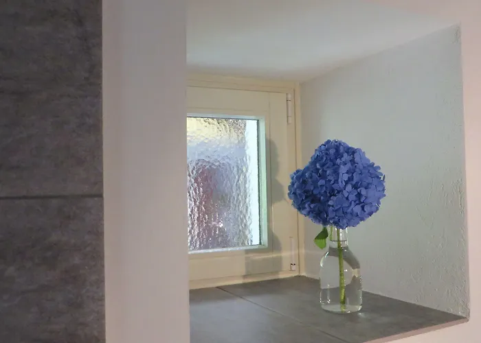 Residenza Motta * Locarno