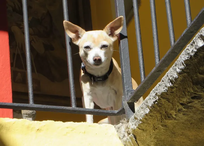 Residenza Motta * Locarno