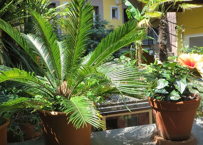 Residenza Motta * Locarno